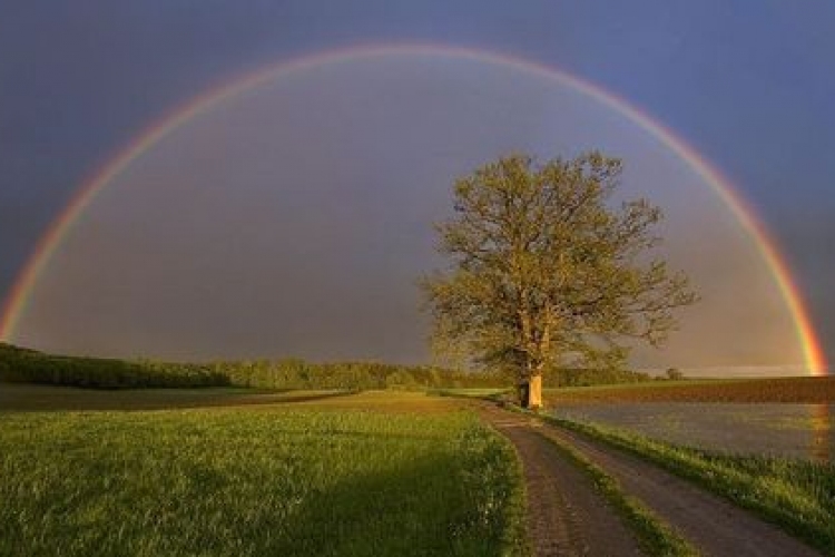 Kellemes májusi idő